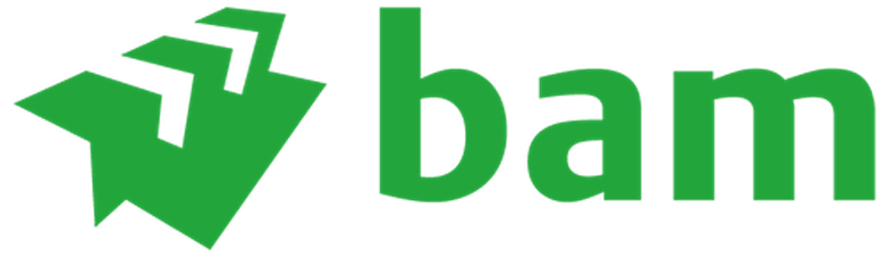 Bam Logo