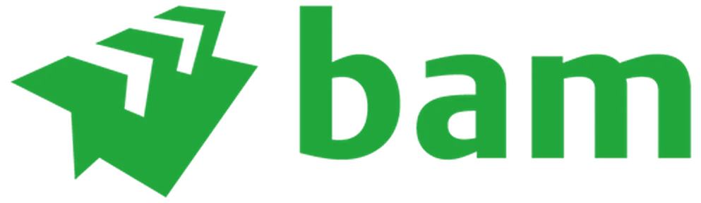Bam Logo